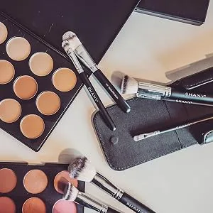 SHANY Professional Cream Foundation and Camouflage Concealer - 15 Color Palette - concealer all skin tones