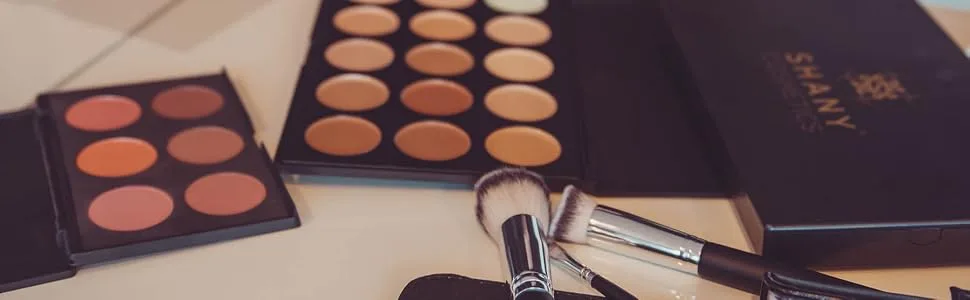 SHANY Professional Cream Foundation and Camouflage Concealer - 15 Color Palette - concealer palette