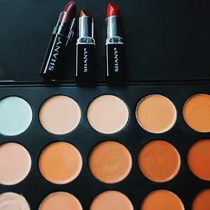 SHANY Professional Cream Foundation and Camouflage Concealer - 15 Color Palette - concealer palette