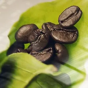  illy illy Iperespresso Intenso Filter Coffee Capsules Intense Roast Packaging of 18 Coffee Capsules - illy caffè