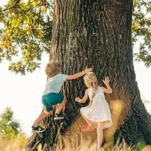  L'Arbre Vert The Green Tree Wellbeing Bath Shower Extra Gentle Shampoo for Children with Organic Peach Extract - Pack of 6 - product information 5