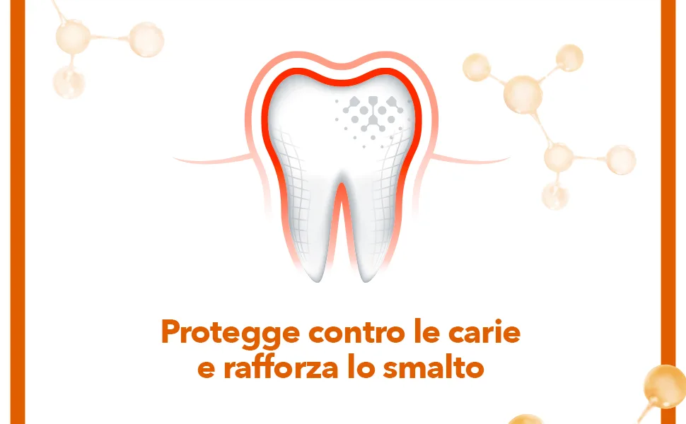  ELMEX elmex dentifrice Protection carie 75 ml x 12 - dent