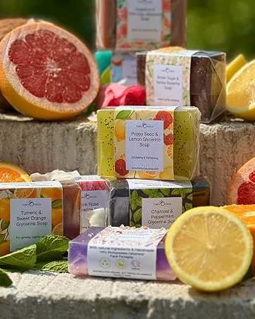  Funky Soap Funky Soap 1 Bottle Lemon & Tea Tree Antiseptic Hand Wash SLS-free 250ml - product information 7