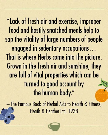  Heath & Heather Heath and Heather Tea Infusions Organic Fennel Teabags (Pack of 6 Total 120) - Chiné et chiné