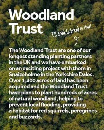  Yorkshire Tea Yorkshire Tea Decaffeinated Tea Bags 80 (Pack of 5 | Total of 400 Bags) - Woodland Trust