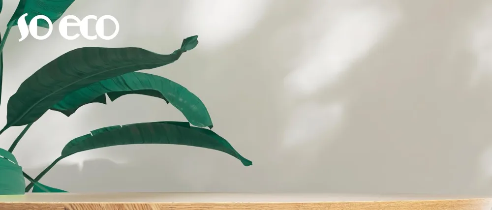  So Eco So Eco Eyebrow Set - Le texte indique « 10-ECO ». Feuille verte ou fronde de plante sur fond neutre clair avec étagère en bois ou surface en bas.