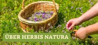  Herbis Natura Organic Valerian Root (Valeriana officinalis) cut root 250g pack - product information 2