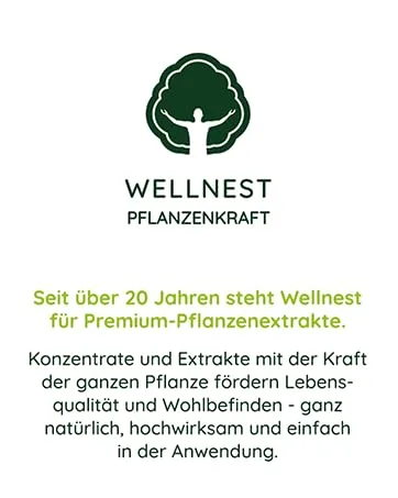  Wellnest Black walnut concentrate (1 x 100 ml) natural vegan handmade in Germany - Brandstory Module 1