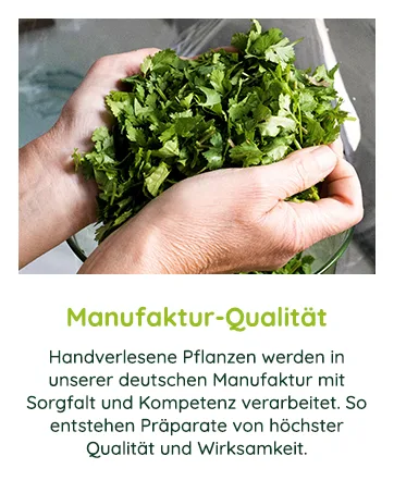  Wellnest Black walnut concentrate (1 x 100 ml) natural vegan handmade in Germany - Brandstory Module 2