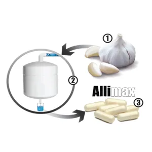 Allimax Pro 450mg 100 Capsules. Professional Strength Support for Your Body s Immune Function Through Natural Allicin  a Potent Compound Extracted from Clean and Sustainable Spanish Grown Garlic. - How it is made