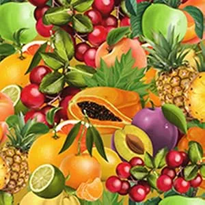 Biotique Bio Fruit Lip Balm  12 gm - product information 6