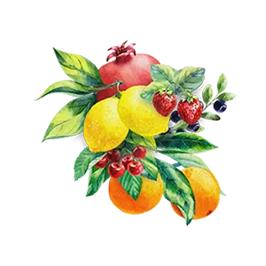Biotique Bio Fruit Lip Balm  12 gm - Ingredients Image