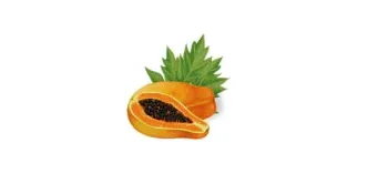 Biotique Bio Papaya Exfoliating Face Wash For All Skin Types  150ml / 3.38 Fl. Oz. - product information 2