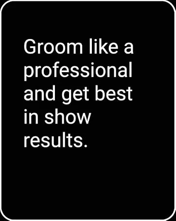 Chris Christensen Colestral Chalk Helper Conditioning Cr me  Groom Like a Professional  Restores Moisture  16 oz Jar - Chris Christensen Shampoos and Conditioners