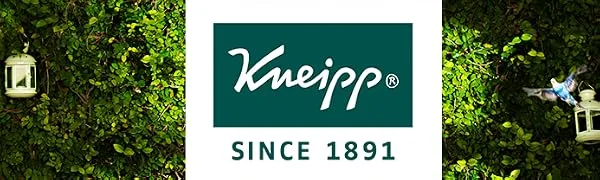 Kneipp Mint and Eucalyptus Sinus Relief Body Wash 200ml Refreshing  Eucalypytus - Kneipp - Body Washes Loaded with Essential Oils for the Perfect Aromatherapy Steam Shower