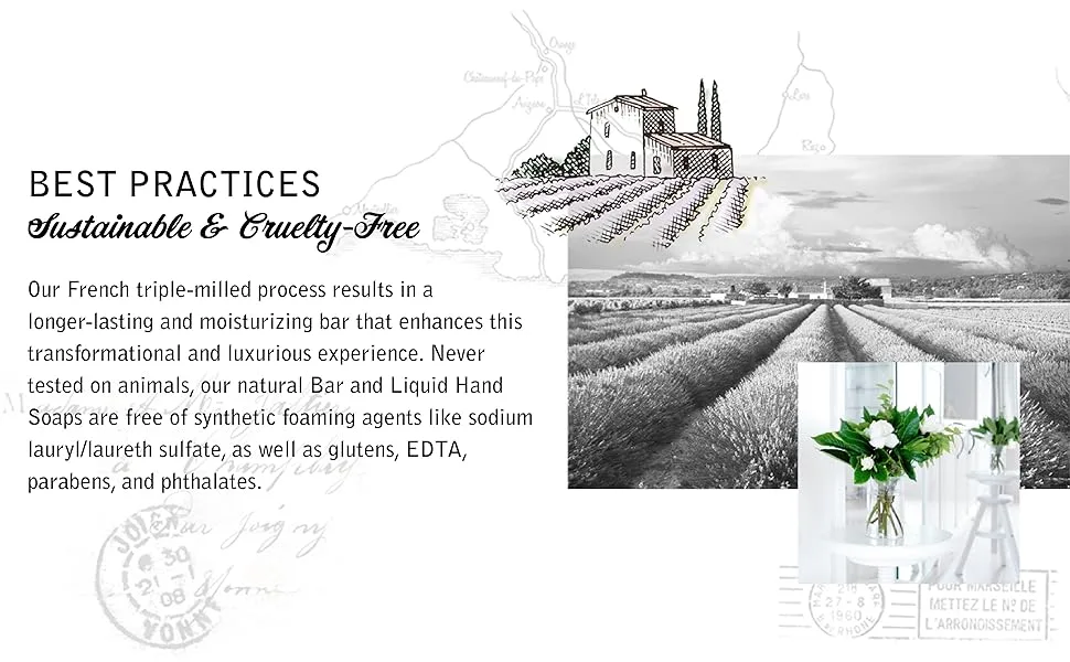 South of France Hand Wash Lavender Fields  8 oz - SOF Best Practices