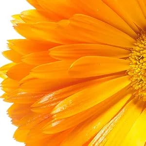 Jurlique Calendula Redness Relief For Face Mist Spray - calendula