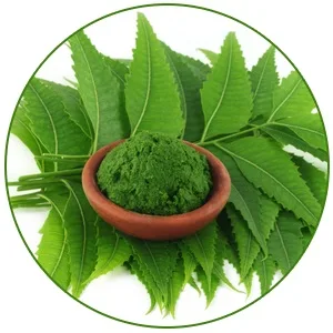 Vaadi Herbals Alluring Neem Tulsi Soap with Vitamin E and Tea Tree Oil  75g x 6 - product information 4