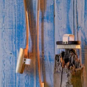Redecker Natural Pig Bristle Bath Brush with Oiled Beechwood Handle  Made in Germany  18-1/2-Inches - massage brush dry circulation cellulite fitness wellness back scratcher reach clean scrub exfoliate