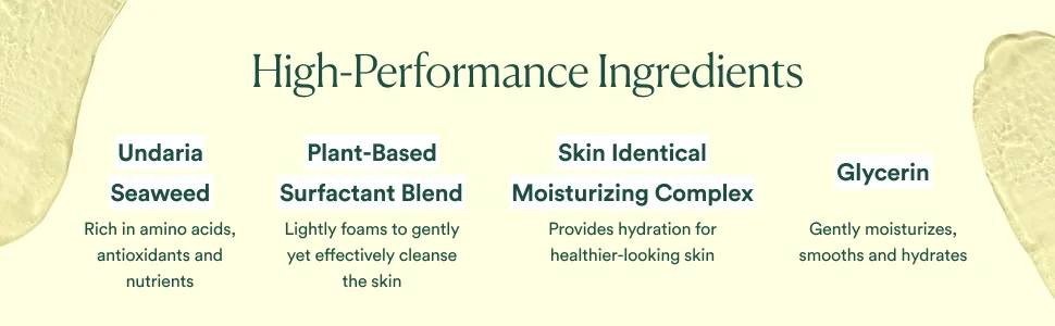 OSEA Undaria Algae Body Wash - pH Balanced - Hydrating & Moisturizing Citrus Scented Cleanser - Clean Vegan Non-Toxic Skincare - 8oz - UABW section 3