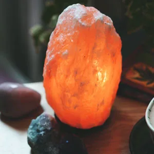 Evolution Salt Lemongrass Bath Sole Soap  4.5 Oz - Evolution Salt Lamp