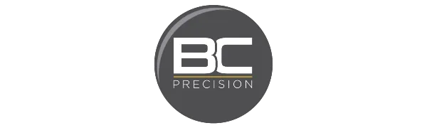 BC Precision 100 Large 1/4 Inch Stainless Steel Nail Polish Mixing Agitator Balls   - BC Precision