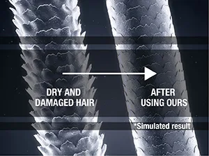 SoftSheen-Carson Sta-Sof-Fro  Extra Dry  5 oz - dry and damaged hair - after using ours