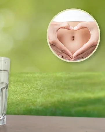 Go Nutrients Prostate Edge - Prostate Supplement for Men with Pygeum and Saw Palmetto Extract Plus Stinging Nettle Hydrangea Root  Turmeric Root  Kelp  Olive Leaf -2 oz Liquid Drops Made in USA - strong fortify balance aid ginger curcumin capsules ashwagandha juice gallon defense factor recipes