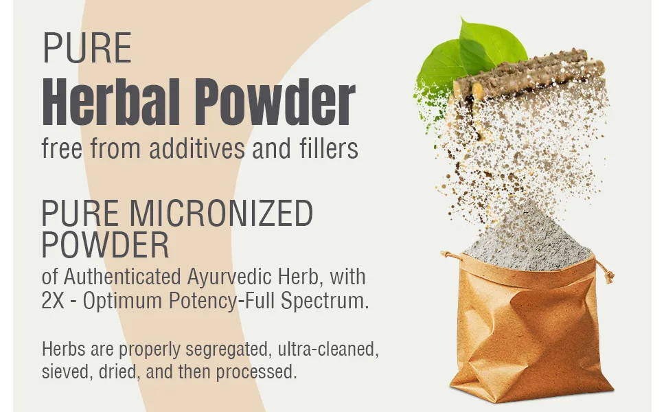 HerbsForever Guduchi Sat Powder Tinospora Cordifolia Support Digestion Balancing Vata and Pitta Non GMO 100 GMS - product information 2