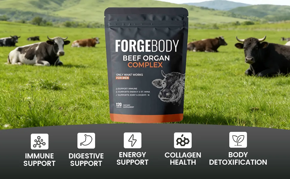 MORANDEE Forgebody Beef Organ Complex Supplement for Men 120 Capsules Grass Fed Beef Liver Capsules Immune Support Gluten Free Non-GMO (1) - forgebody supplement for men