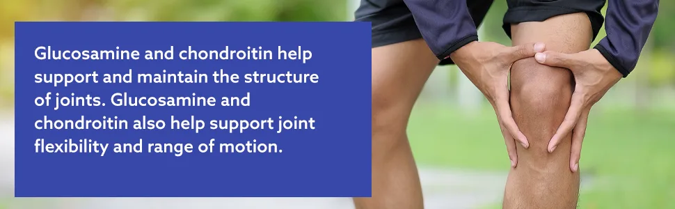 Leader Advanced Glucosamine Chondroitin Plus MSM Dietary Supplement Compare to Schiff Move Free Advanced + MSM Active Ingredient 90 Caplets - B00523AF4Q