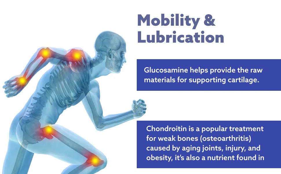 Leader Advanced Glucosamine Chondroitin Plus MSM Dietary Supplement Compare to Schiff Move Free Advanced + MSM Active Ingredient 90 Caplets - product information 3