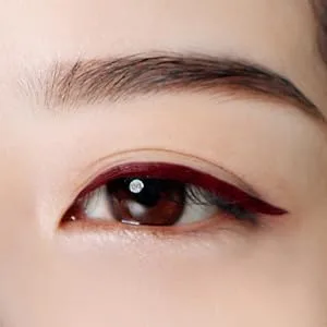 BBIA Last Pen Eyeliner  Waterproof Ink Type (01 Sharpen Black) 0.02 Ounce - 05 Burgundy