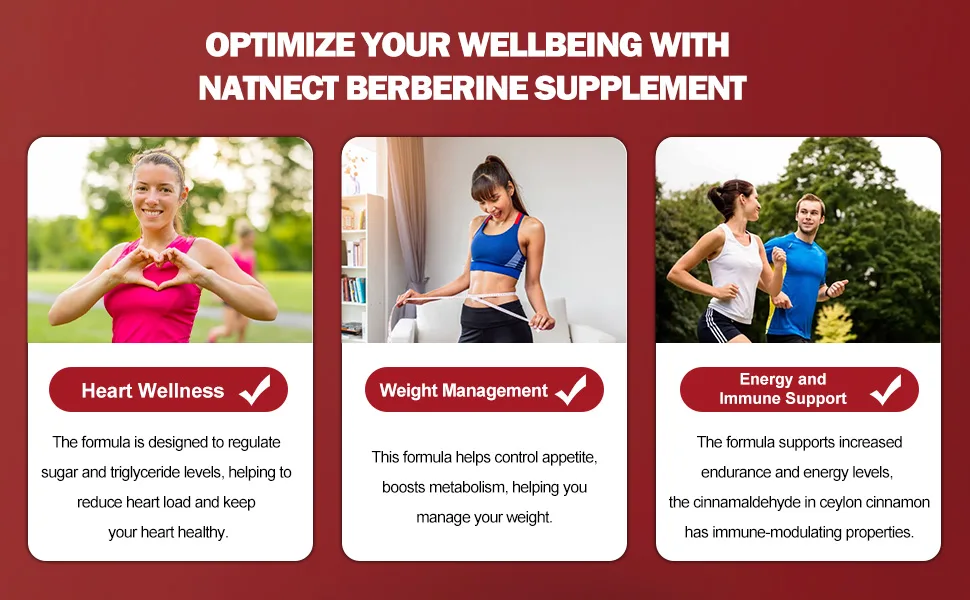 Natnect Berberine Supplement with Ceylon Cinnamon Licorice Extract Berberine 6X for Healthy Weight Management Metabolism and Immune Support (120 Capsules) - Berberine Supplement