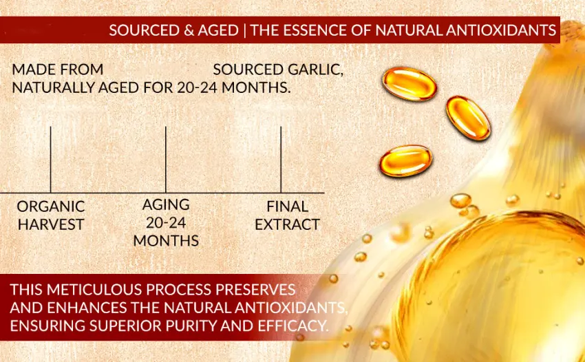 EILTEAU Aged Garlic Extract - 7500mg Odorless - 180 Softgels | Non-GMO Gluten-Free | Supports Immune Health (1) - Aged Garlic Extract - 7500mg Odorless