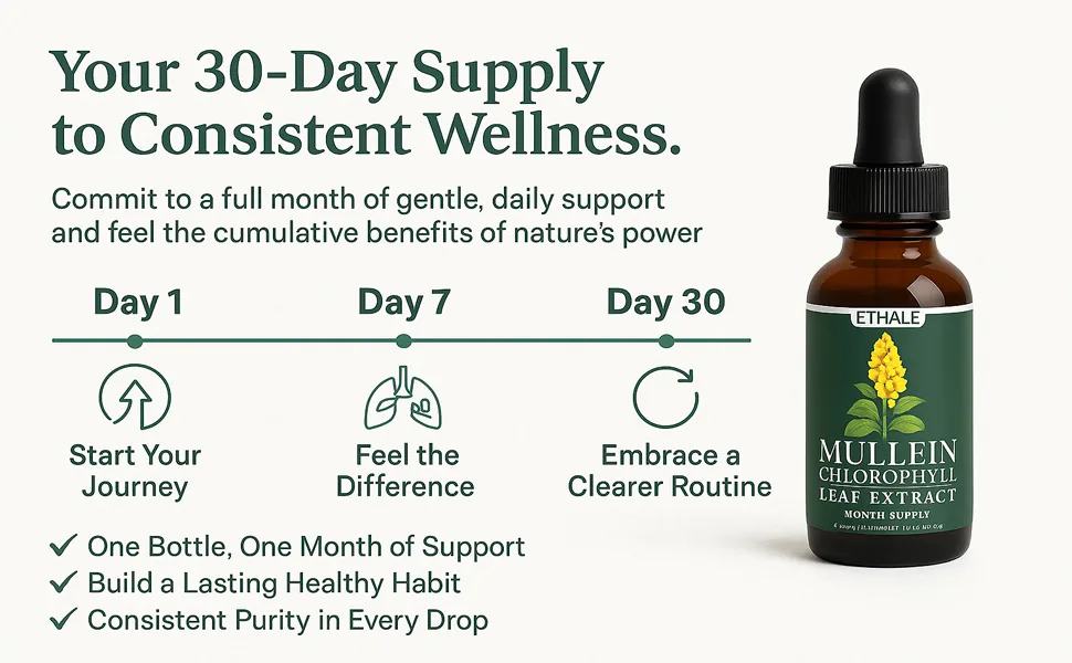 ETHALE Mullein Drops for Lungs Natural Herbal Supplement with Mullein Leaf & Chlorophyll Daily Lung and Breathing Support 30 Day Supply Non-GMO Plant-Based Formula (2) - Ethale Mullein DropsEthale Mullein Drops