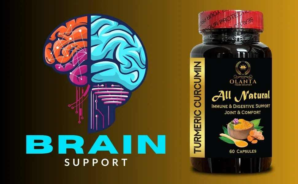 Turmeric Curcumin Capsules Advanced Joint Support - Pure Herbal Formula for Antioxidant Support & Wellness 2 Bottles 120 Capsules GMP-Certified Manufacturing - Herbal Turmeric Curcumin Extract