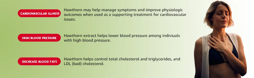 NutreeVit 100% Organic - Hawthorn Berry Powerful Superfood Formula (240 Capsules) - Features