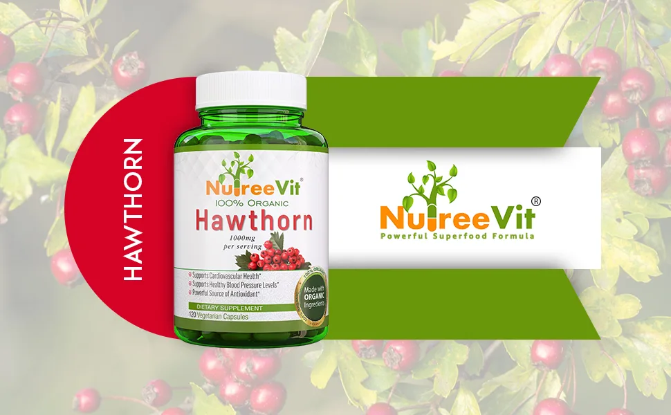 NutreeVit 100% Organic - Hawthorn Berry Powerful Superfood Formula (240 Capsules) - Hawthorn Header