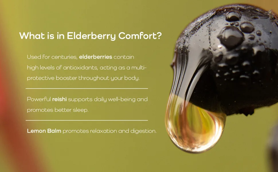 Organic Elderberry Tincture - Elderberry Extract - Liquid Elderberry Drops Immune Support Respiratory Support & Defense 1oz - Ziggy Health - Elderberries, Reishi and Lemon Balm