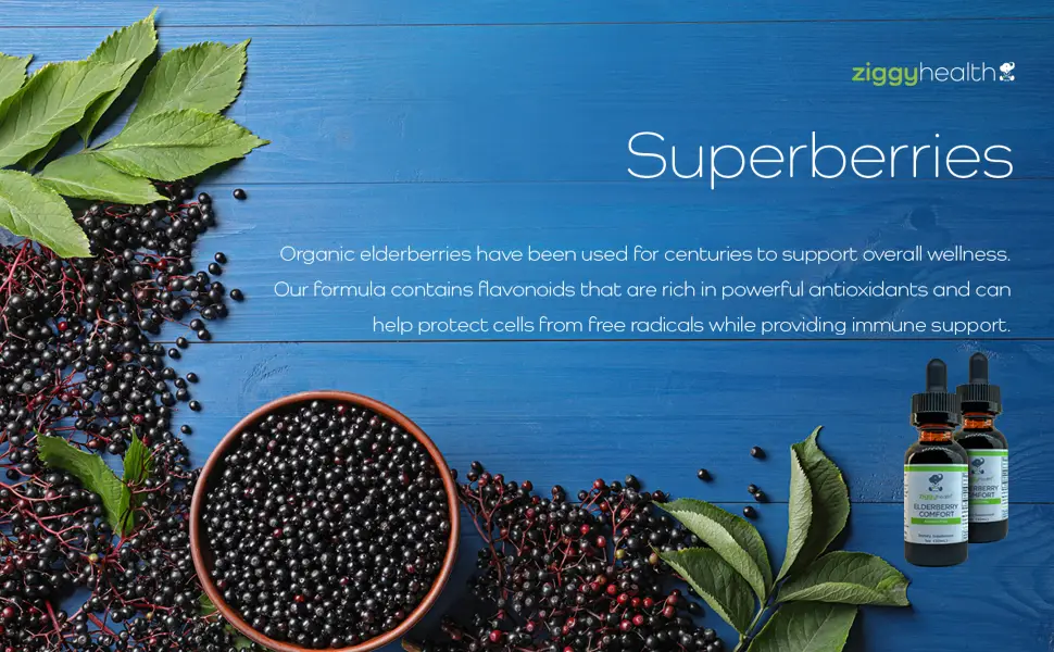 Organic Elderberry Tincture - Elderberry Extract - Liquid Elderberry Drops Immune Support Respiratory Support & Defense 1oz - Ziggy Health - Elderberry Comfort