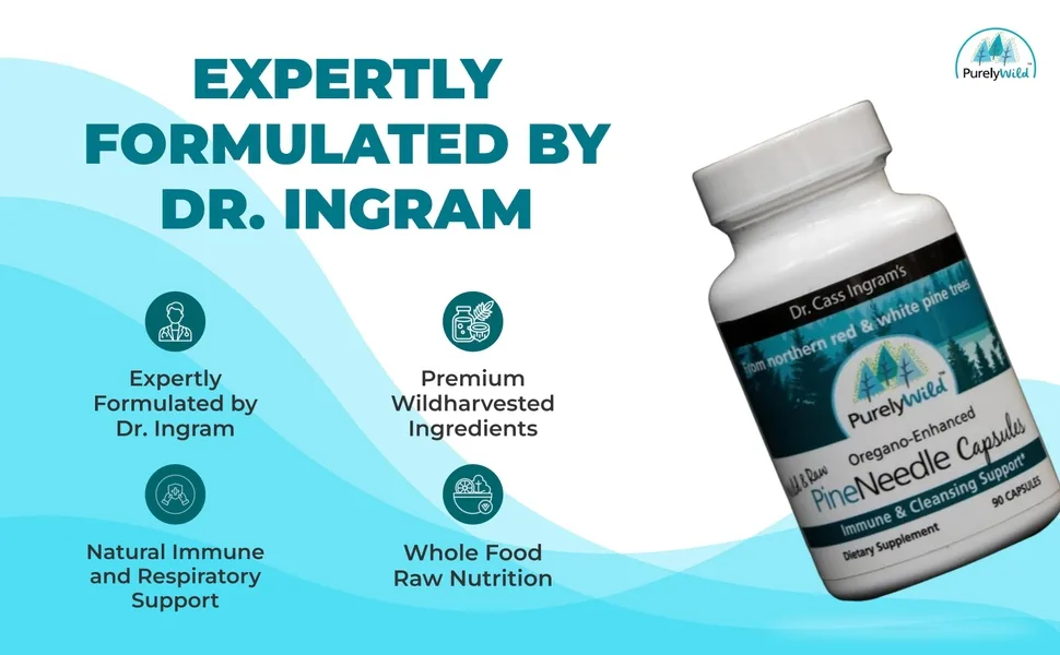 Dr. Cass Ingram Wild Pine Needle Capsules with Spruce Black Cumin & Oregano - Immune Support & Respiratory Wellness Supplement - 90 Count - DR CASS IGRAM PINE NEEDLE CAPSULES RESPIRATORY HEALTH