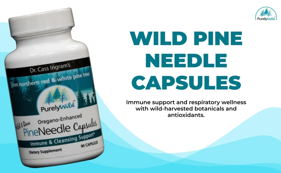 Dr. Cass Ingram Wild Pine Needle Capsules with Spruce Black Cumin & Oregano - Immune Support & Respiratory Wellness Supplement - 90 Count - Dr. Cass Ingram's Wild Pine Needle Capsules