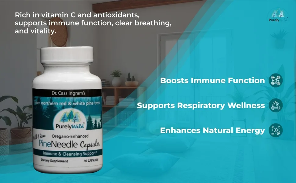Dr. Cass Ingram Wild Pine Needle Capsules with Spruce Black Cumin & Oregano - Immune Support & Respiratory Wellness Supplement - 90 Count - DR CASS INGRAM PURELY WILD PINE NEEDLE CAPSULES BENEFITS