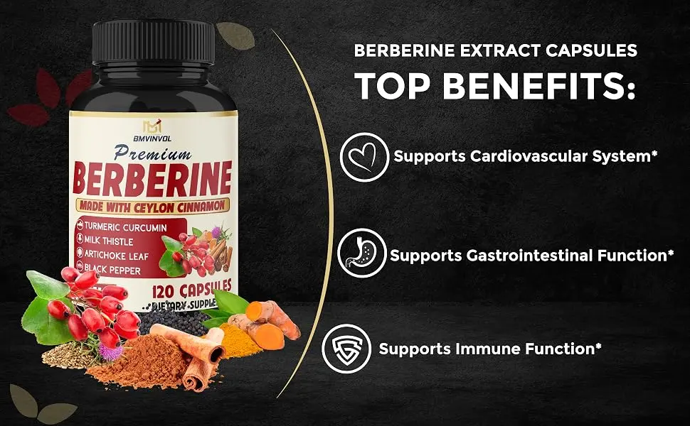 BMVINVOL 6in1 Berberine Supplement with Ceylon Cinnamon Tumeric Root Milk Thistle Artichoke Black Pepper -120 Capsules for 4 Month Supply - berberine supplement