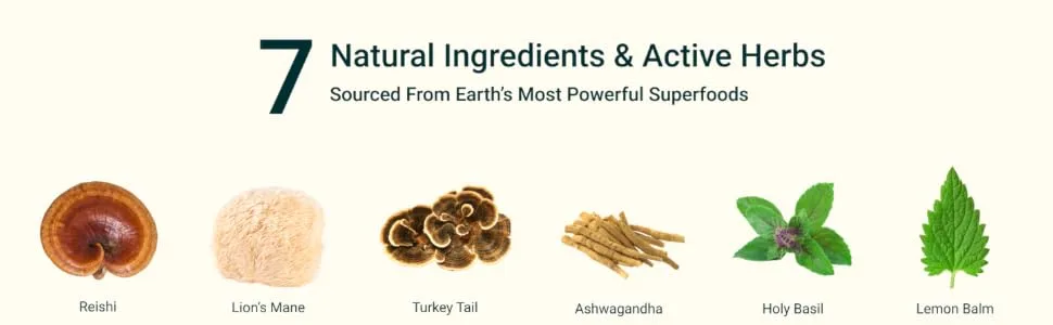 HERBALY Mood Mushroom Complete Capsules - Natural ingredients