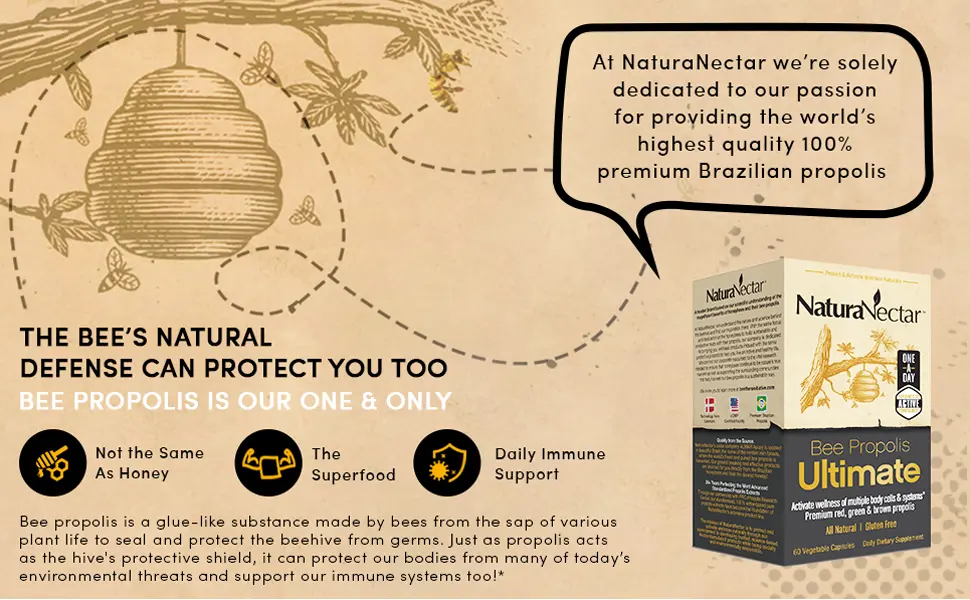NaturaNectar Natural Bee Propolis Bundle - Green Bee Propolis and Bee Propolis Ultimate - for Immune Support Memory and Focus - 60 Capsules per Bottle - NaturaNectar