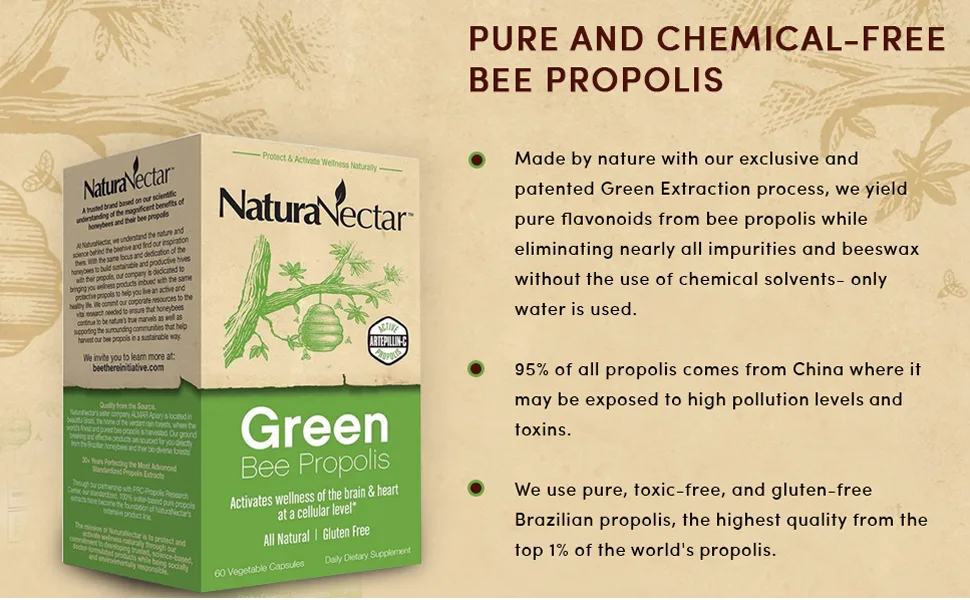 NaturaNectar Natural Bee Propolis Bundle - Green Bee Propolis and Bee Propolis Ultimate - for Immune Support Memory and Focus - 60 Capsules per Bottle - NaturaNectar