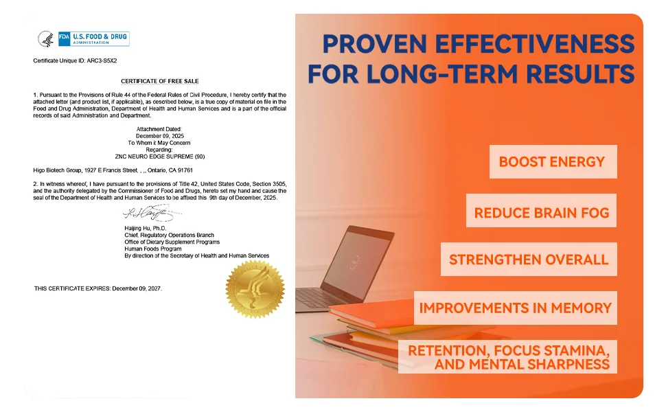 ZNC Cognitive Support Brain Supplement Nootropic for Memory Focus & Concentration Alpha GPC Ginkgo Biloba Vitamin B6 B12 Phosphatidylserine Gluten-Free 90 Capsules - product information 4
