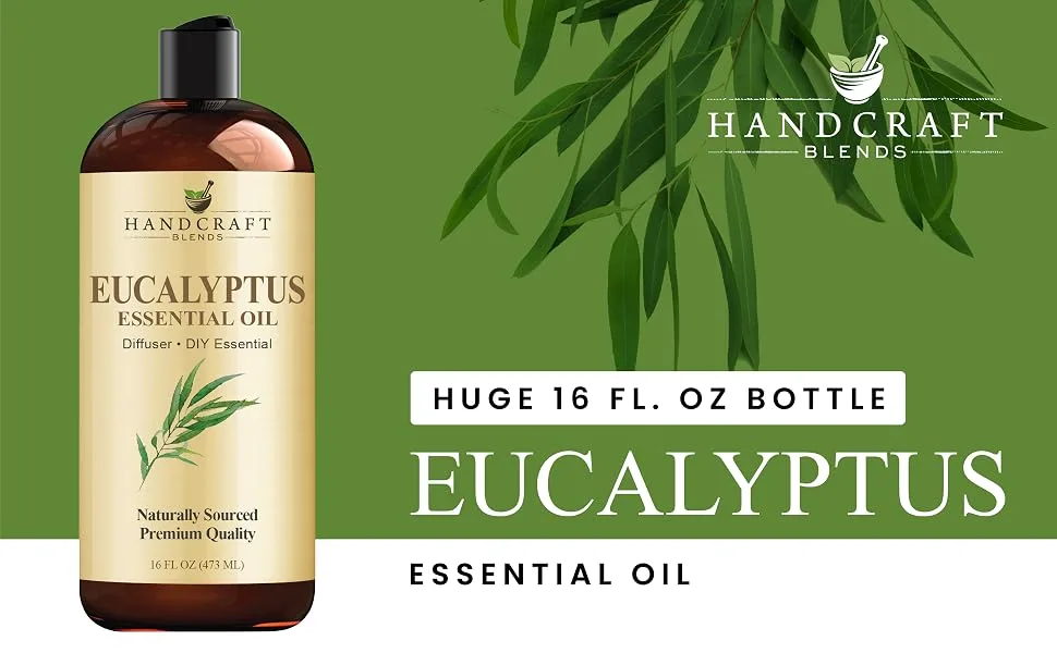Handcraft Blends Eucalyptus Essential Oil - Huge 16 Fl Oz - for Candle Making Soap Making Diffusers and Aromatherapy Eucalyptus 16 Fl Oz (Pack of 1) - product information 1